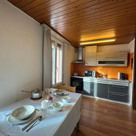 Downtown Apartament Interlaken