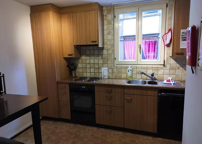 Downtown 公寓 因特拉肯