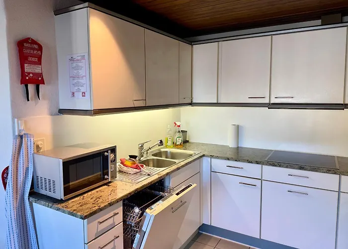 Downtown Lejlighed Interlaken