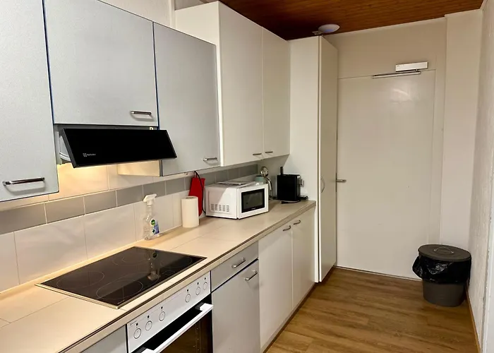 Downtown Lejlighed Interlaken