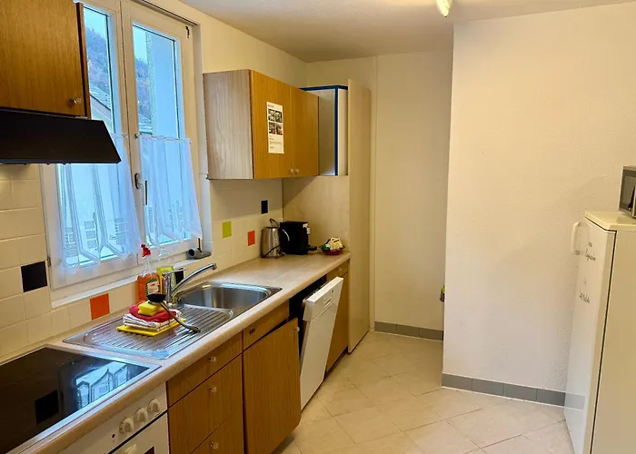 Downtown Lejlighed Interlaken